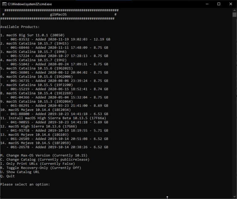 GibmacOS- Create Bootable USB of macOS Big Sur Final (Clean ...