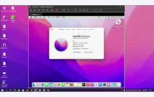 Install macOS Monterey on VMware