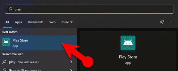 Install Google Play Store in Windows 11