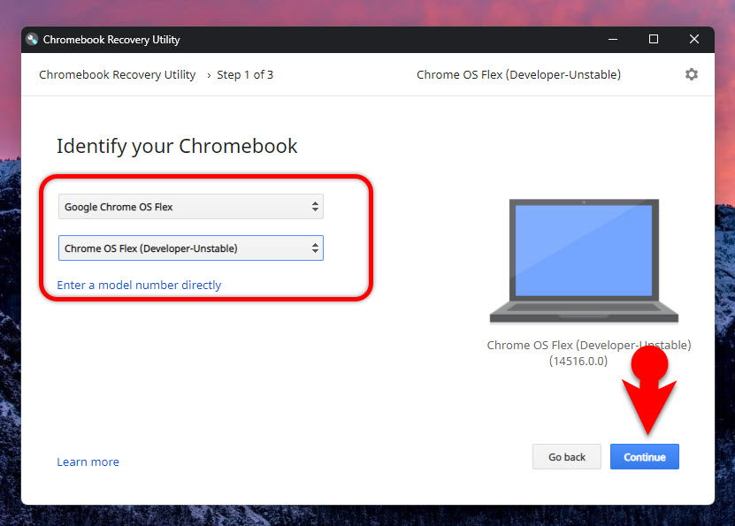 Install Chrome OS Flex on Your Windows PC
